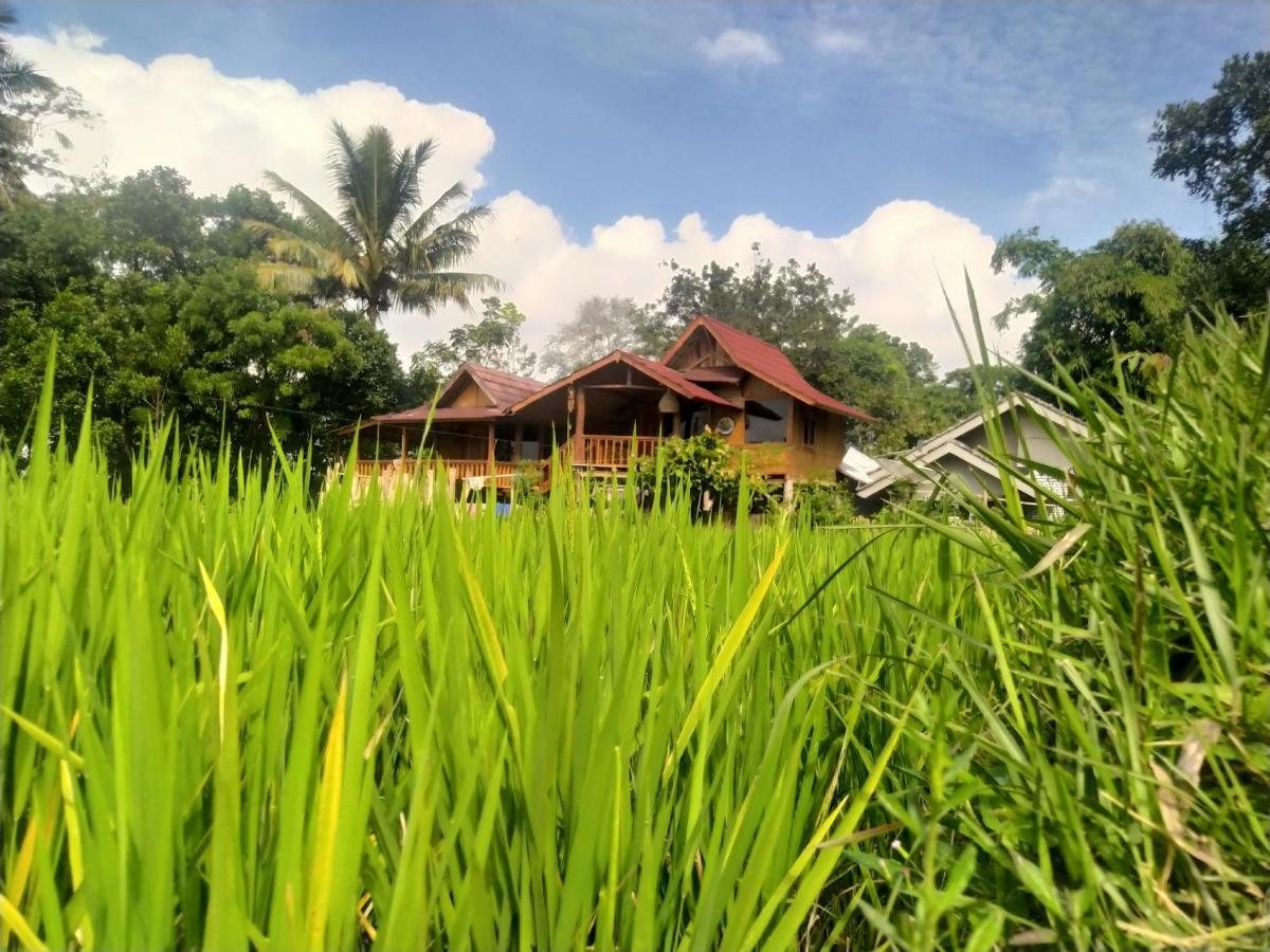 Jonny'S Places Tetebatu Buitenkant foto